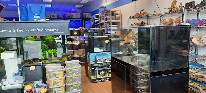 Buckley's Fish Room Picture 7