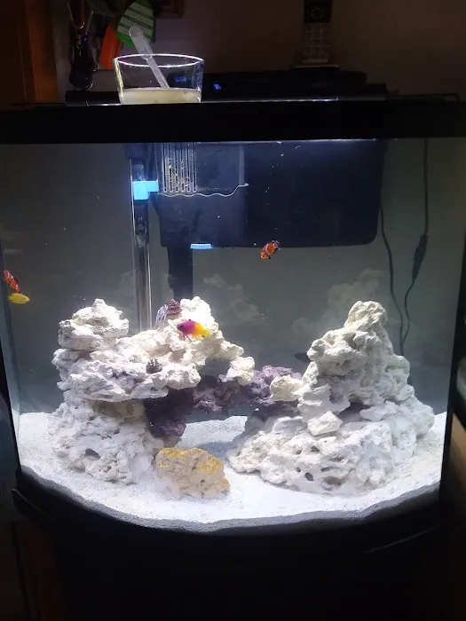 Buckley's Fish Room Picture 6