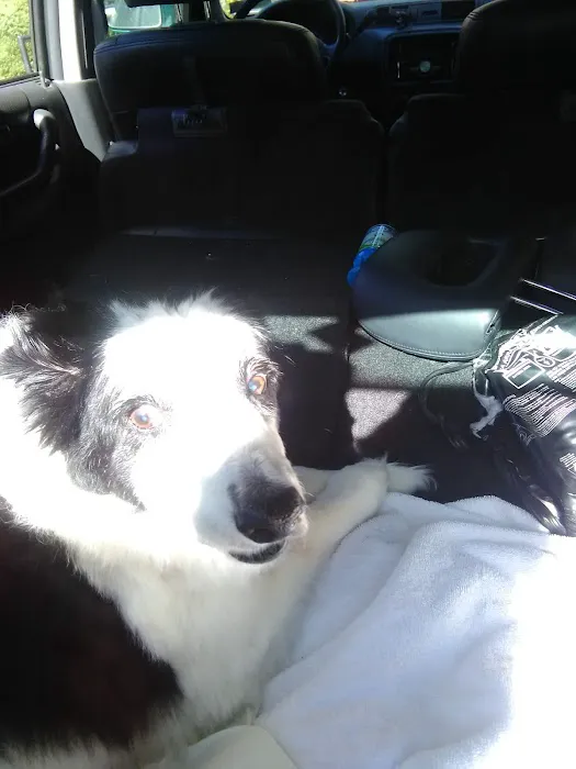 Ark Animal Hospital Picture 3