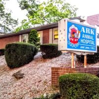 Ark Animal Hospital ico