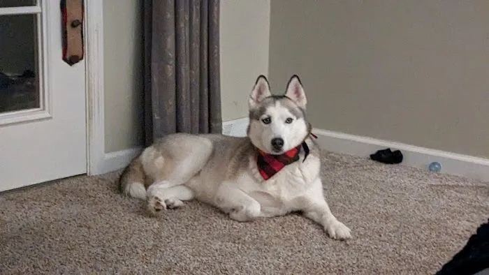 Ark Animal Hospital Picture 4