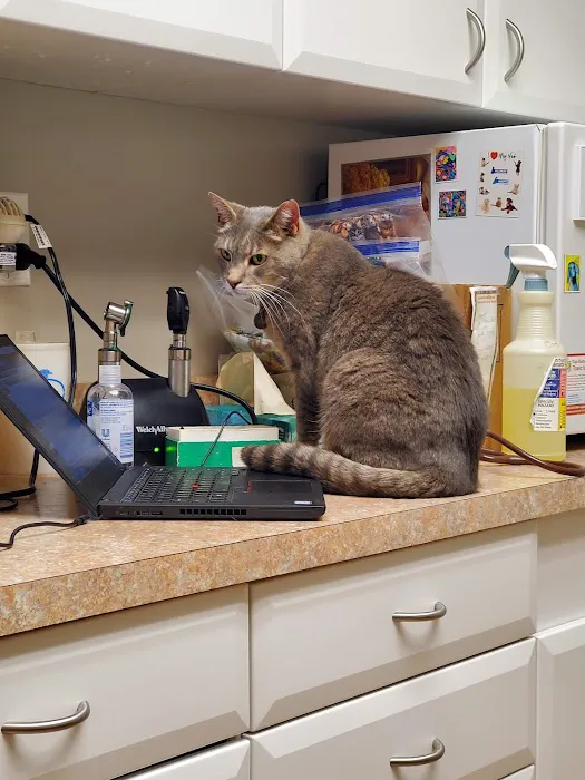 Ark Animal Hospital Picture 9