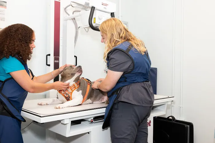 PetHealth UrgentCare - Wyomissing Picture 1