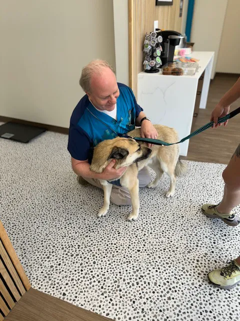 PetHealth UrgentCare - Wyomissing Picture 5