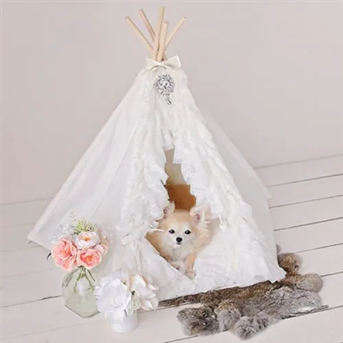 Bloomingtails Dog Boutique Picture 2