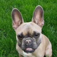 Larkin Veterinary Center ico
