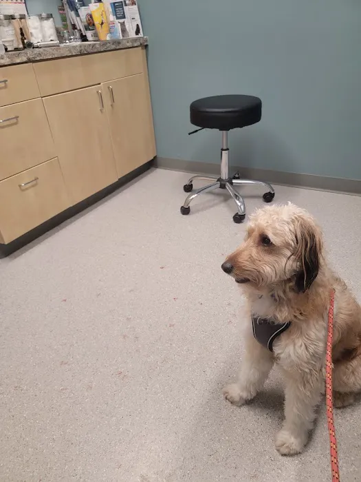 Larkin Veterinary Center Picture 2