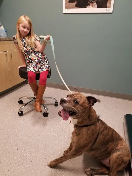 Larkin Veterinary Center Picture 10