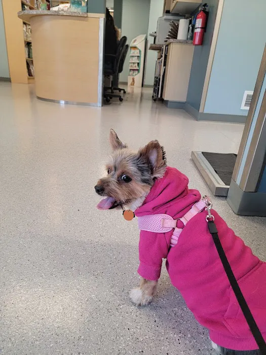 Larkin Veterinary Center Picture 9
