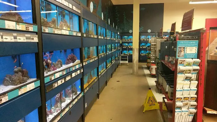 Petco Picture 6
