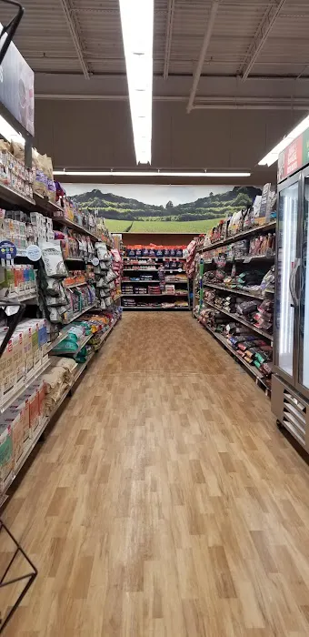 Petco Picture 5