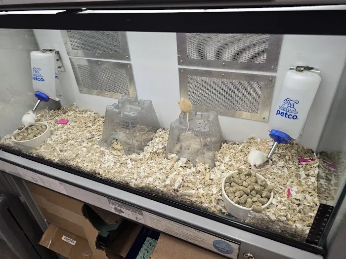 Petco Picture 10
