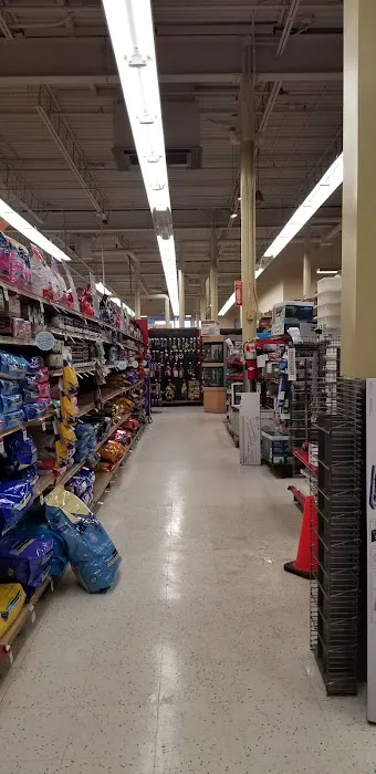 Petco Picture 9