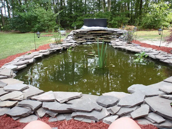Koi Creations Picture 3