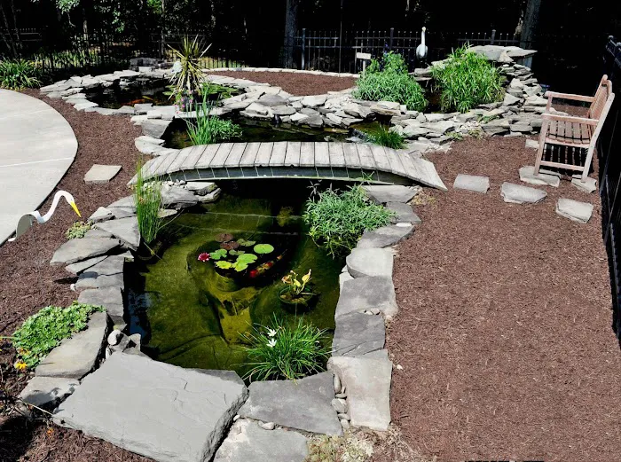 Koi Creations Picture 5