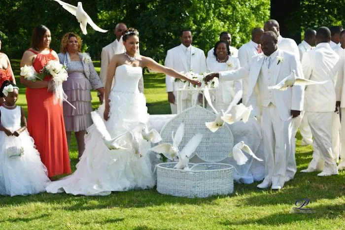 Memorable Moments Dove Release LLC Picture 2