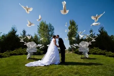Memorable Moments Dove Release LLC Picture 1