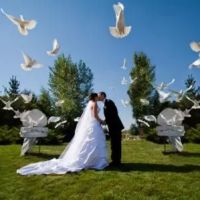 Memorable Moments Dove Release LLC ico