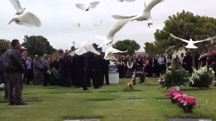 Memorable Moments Dove Release LLC Picture 4