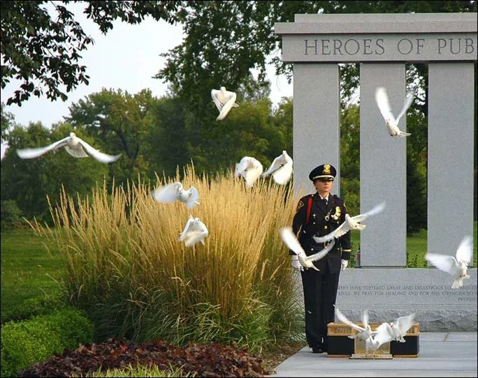 Memorable Moments Dove Release LLC Picture 6