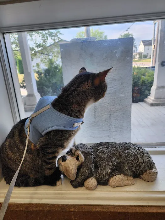 Brownstown Animal Hospital Picture 8