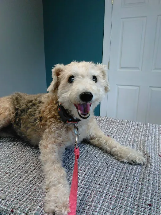 Metro Pet Vet - leola Picture 1