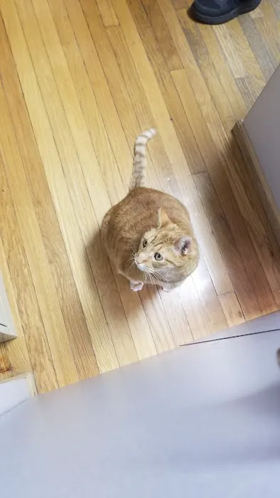 Metro Pet Vet - leola Picture 5