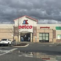 Petco ico