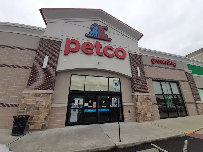 Petco Picture 3