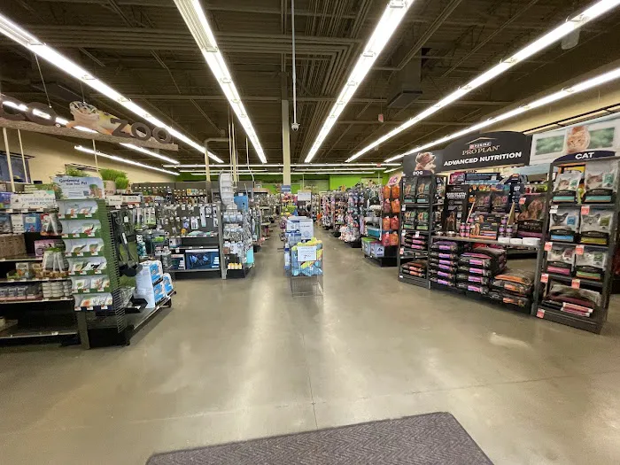 Petco Picture 4