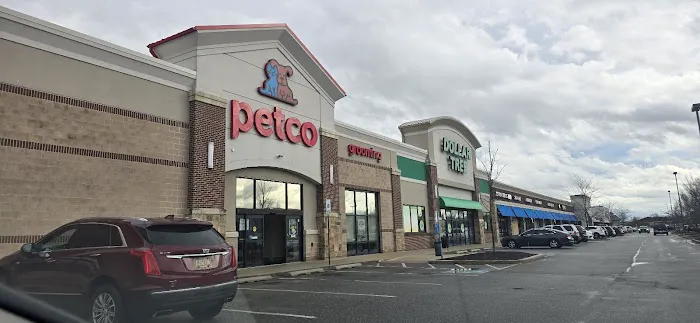 Petco Picture 8