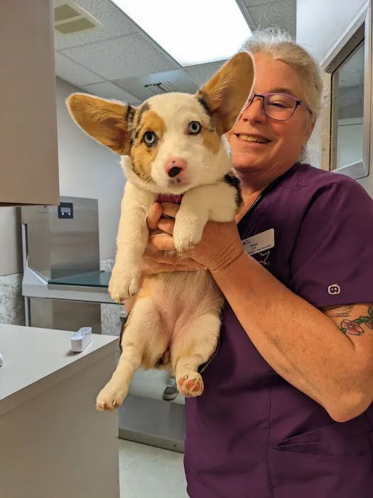 VCA Smoketown Animal Hospital Picture 10