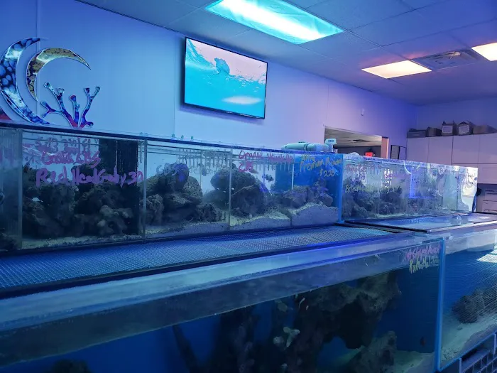 Pacific East Aquaculture Picture 2