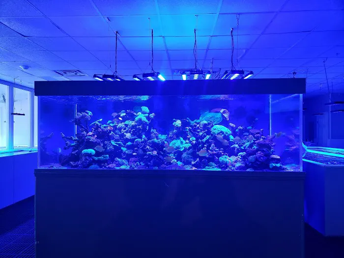 Pacific East Aquaculture Picture 7
