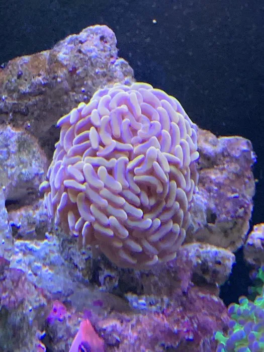 Pacific East Aquaculture Picture 9
