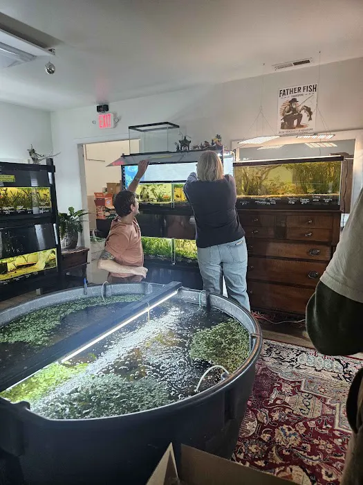 Father Fish Aquarium Picture 1