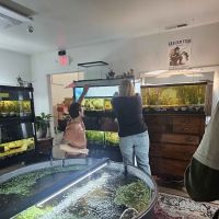 Father Fish Aquarium ico
