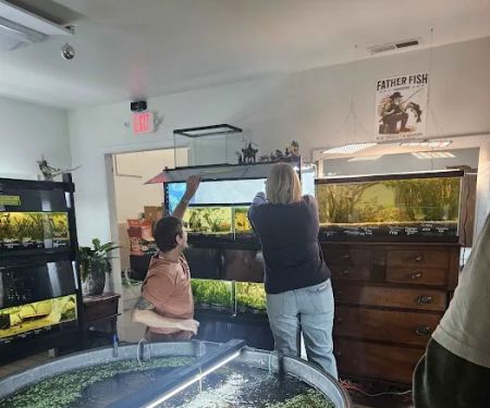 Father Fish Aquarium