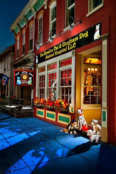 The Cocalico Cat & Gingham Dog Animal Hospital Picture 3