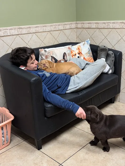 The Cocalico Cat & Gingham Dog Animal Hospital Picture 7