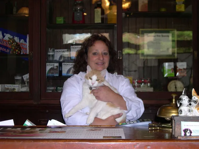 The Cocalico Cat & Gingham Dog Animal Hospital Picture 6