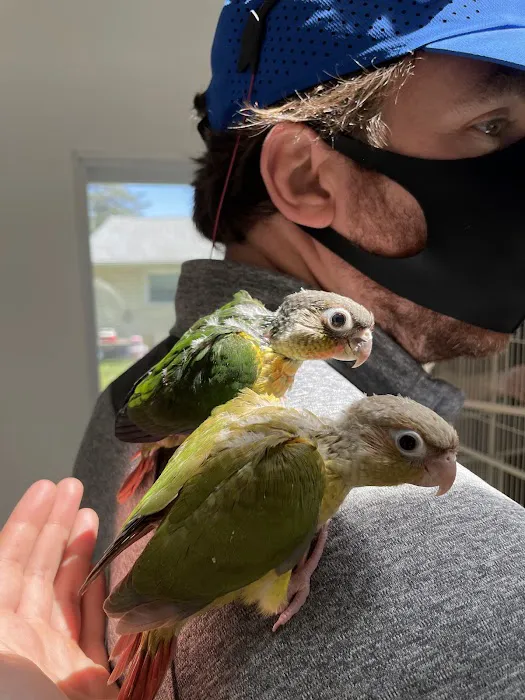 Maryland Exotic Birds Inc Picture 9