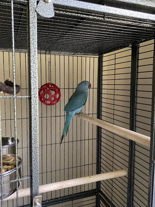 Maryland Exotic Birds Inc Picture 10
