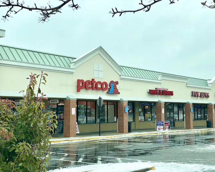 Petco Picture 3