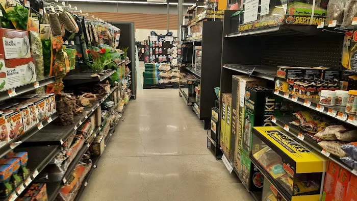 Petco Picture 2