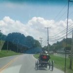 Quarryville Herd Health Associates