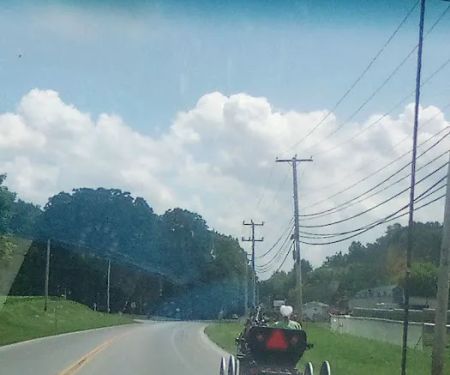 Quarryville Herd Health Associates
