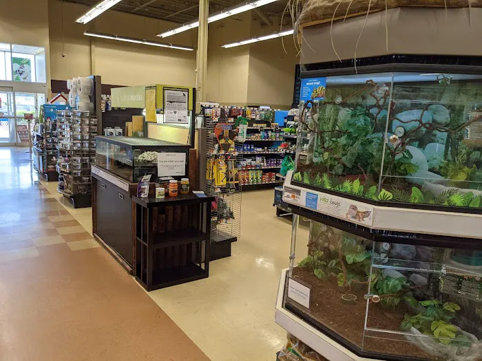 Petco Picture 2