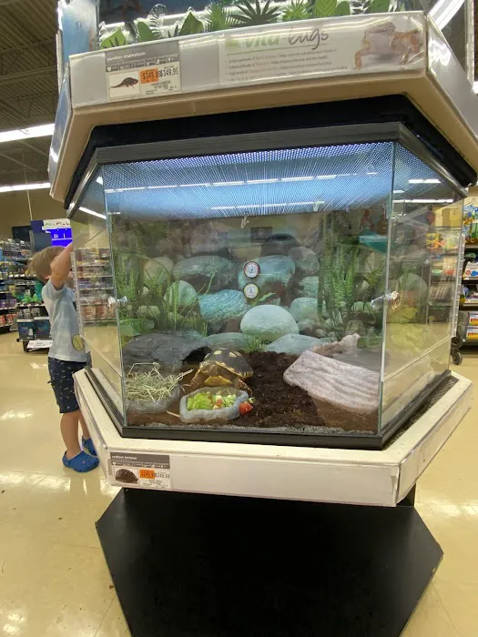Petco Picture 3