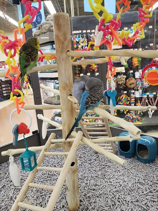 Petco Picture 5
